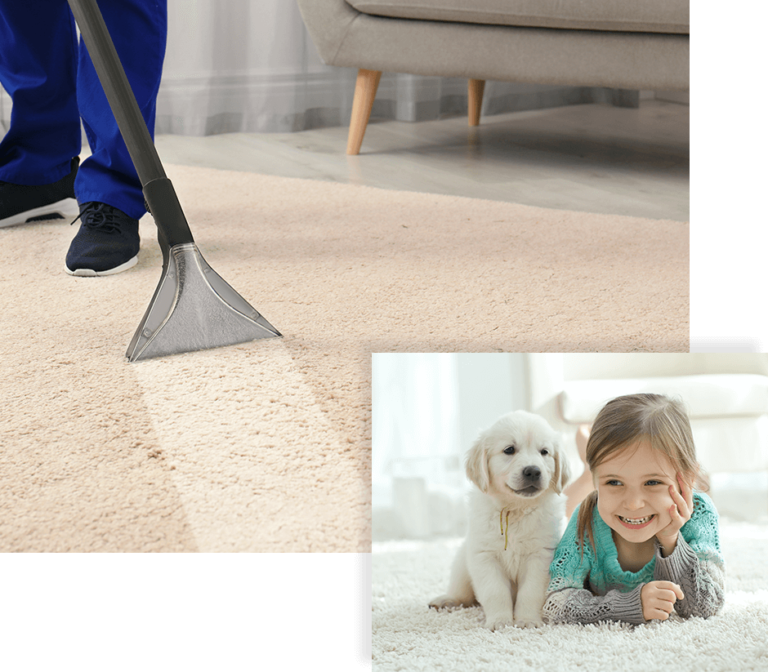 Carpet Cleaning Branson MO Steam Carpet Cleaning