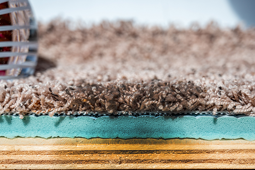 Carpet, padding, and plywood layers showing how deep pet urine can penetrate