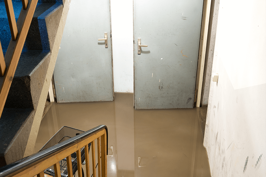 sewage damage to basement flooded