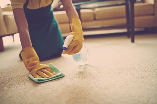 Sho-Me Clean Carpet Cleaning—A woman uses a spray cleaner and cloth to treat a stain on her carpet in her Branson, MO home.